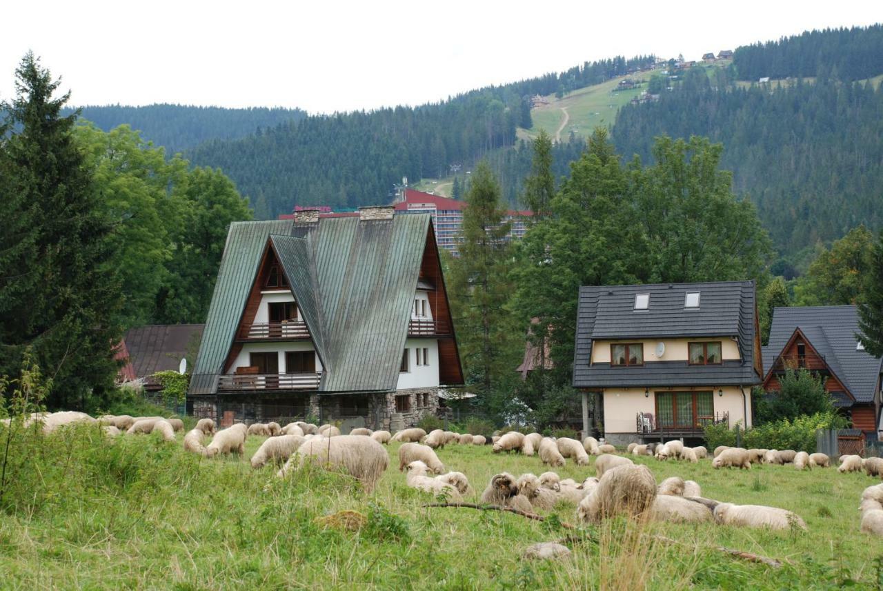 Domek Na Wierchu I Apartament Na Wierchu Zakopane Exterior foto